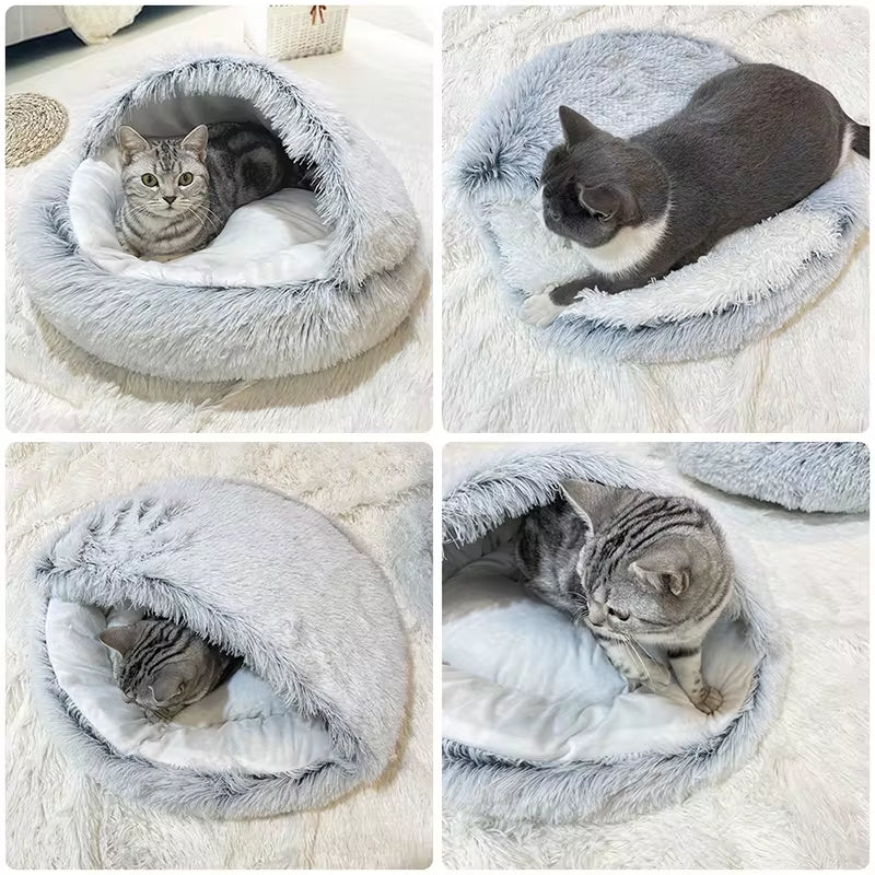 WardPawBed