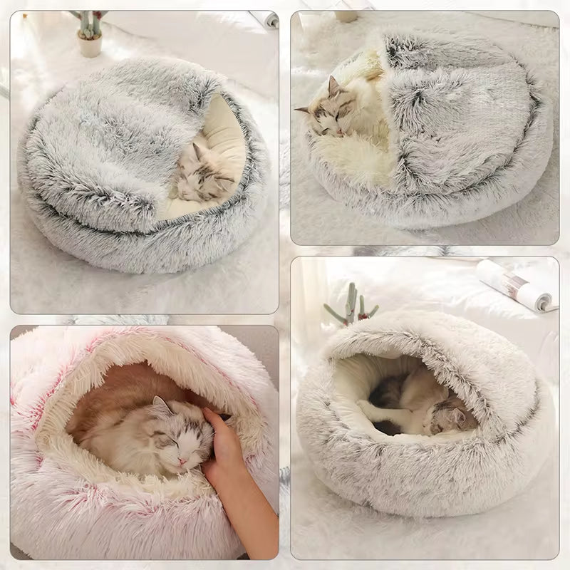 WardPawBed