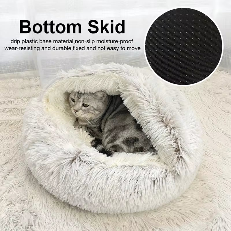 WardPawBed