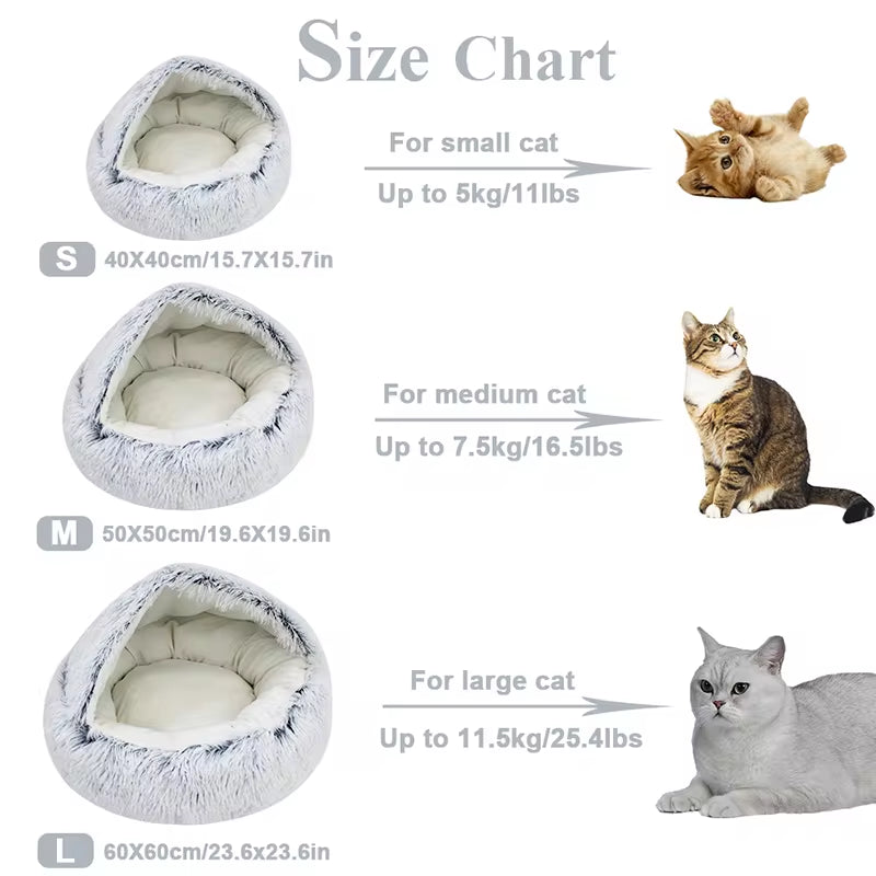 WardPawBed