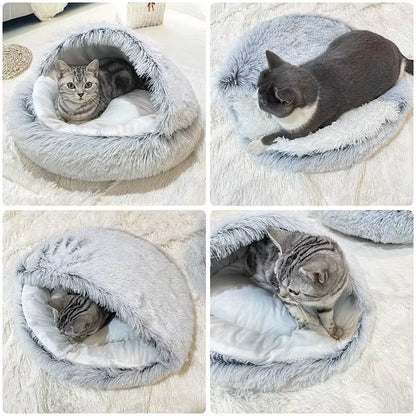 WardPawBed