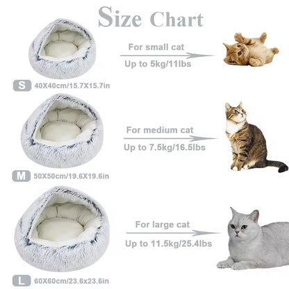 WardPawBed